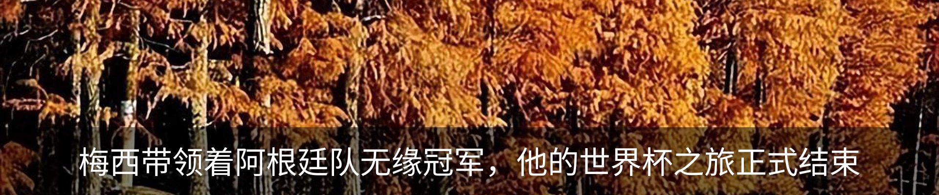 新闻动态